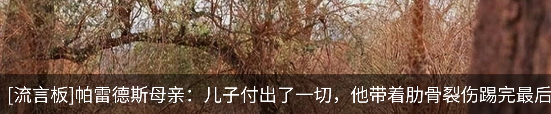 最新动态